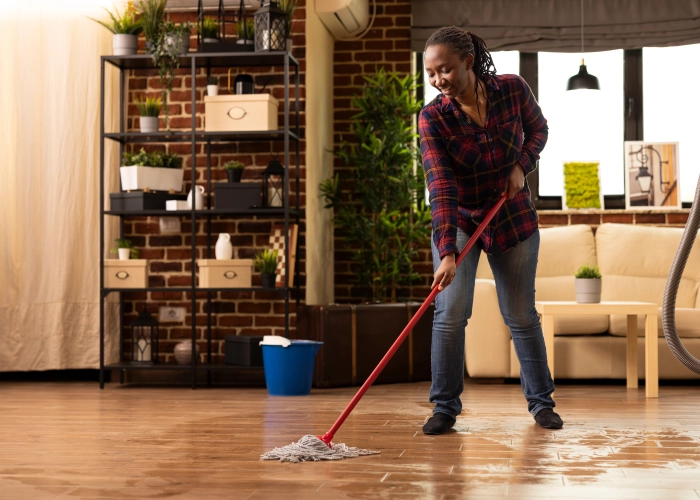 Empresa de limpieza en Mieres 33600