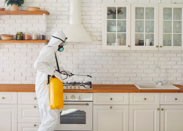 Tratamiento contra chinches en Elda 03600